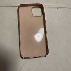 ケース2の画像