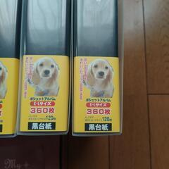 フォトアルバムの画像