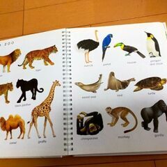 子供用の英単語辞典です。充実した内容で分かりやすいの画像