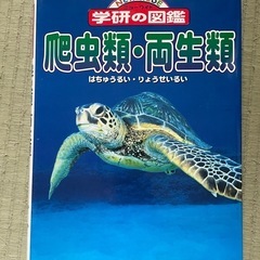 USED 学研の図鑑  爬虫類・両生類
