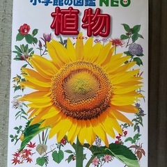 used 小学館の図鑑　植物