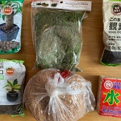 【園芸用品】ハイドロボール　グリーンモス　観葉植物の土　水苔の画像