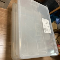 薄型衣装ケース