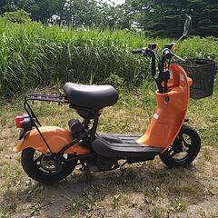 可愛い顔したチョイノリの画像