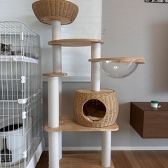 キャットタワーの画像