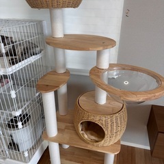 キャットタワーの画像