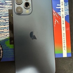IPHONE12PROMAX の画像