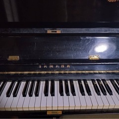 YAMAHA ピアノ
の画像