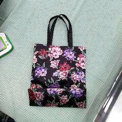 レイクアルスター　プリントバッグの画像