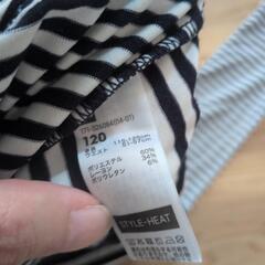 薄手 レギンス ボーダーの画像