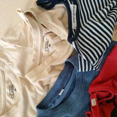 子供服 80 Tシャツの画像