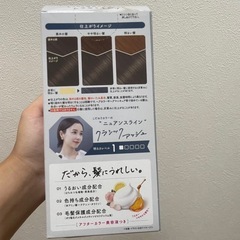 染め粉 カラー剤の画像