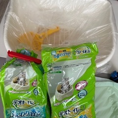 子猫 トイレ シート付き