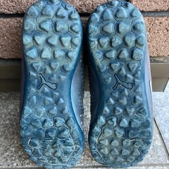 サッカー トレシュー PUMA
の画像