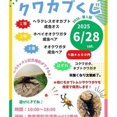 カブトムシ&クワガタくじ