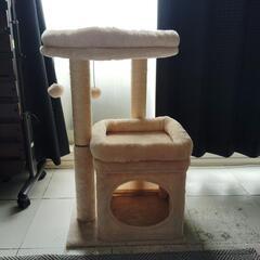 キャットタワー🗼おもちゃ付き😺の画像