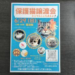 保護猫譲渡会♬　6月29日(日)　場所•龍遊館　11時から…