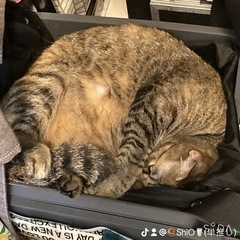 船橋で女の子二人ましてますー😊