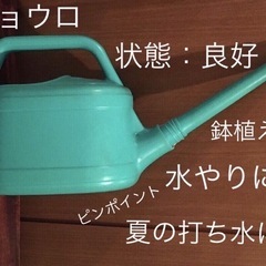 ジョウロ 状態良好 ピンポイント水やり 打ち水 花壇 鉢植え 植...