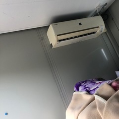 プレハブ　物置　ハウス　コンテナの画像