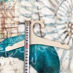 【モンステラ300円以上購入で無料です】お子さんやペットの洋服をかけたり、余ってるハンガーを保管しとけるハンガーラック2個と小さな洋服用のハンガー19個の画像