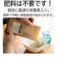 観葉植物の土の画像
