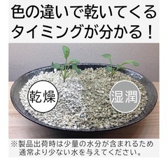観葉植物の土の画像