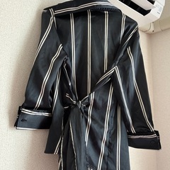 ZARABASIC サテンストライプトップスの画像