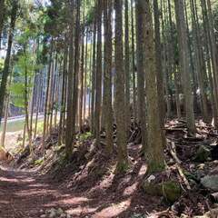 【売却済】山林物件269　福岡県京都郡みやこ町