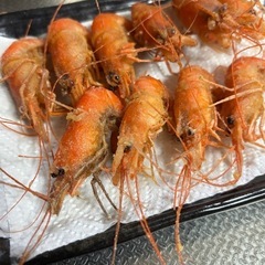 テナガエビの画像