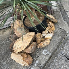 みかも石の画像