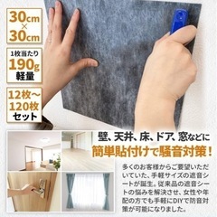 吸音パネル薄型60枚入  2個セットの画像