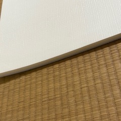 【ただいま取引中】プレイマットマット2枚＋イブルのラグの画像