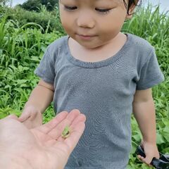 平日8:30〜お子さまを英語で預かりますの画像