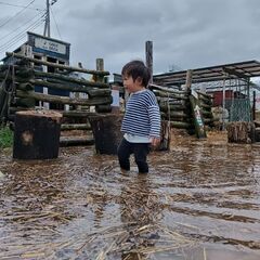 平日8:30〜お子さまを英語で預かりますの画像