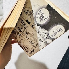 ONE PIECE　1〜103巻＆RAINBOW＆WHITEの画像