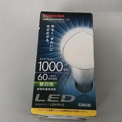 0624-137 TOSHIBA ＬＥＤ電球　