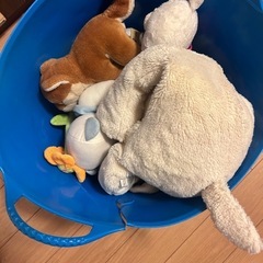 ぬいぐるみまとめ
