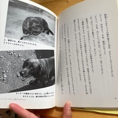 【決定】命の教室　動物管理センターからのメッセージの画像