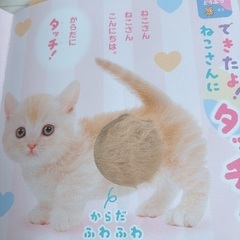 【知育絵本12冊セット】学研つながるえほん　できた　2歳3歳の画像