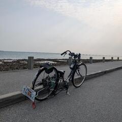 シャコタンチャリの画像