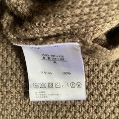 冬から春  4Lシャツの画像