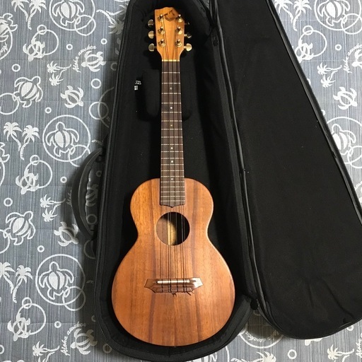 激レア G-String コア 6弦テナーウクレレ カスタム セミハードケース付