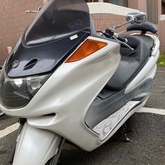 マジェスティ250の画像