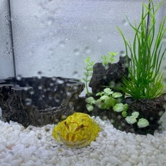 お取引中です