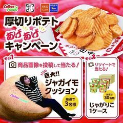 【非売品！未使用！カルビー×快活CLUBコラボの“じゃがいもクッション”】の画像