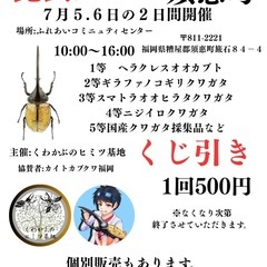 カブトムシクワガタ