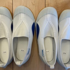 新品の上履き・体育館シューズ