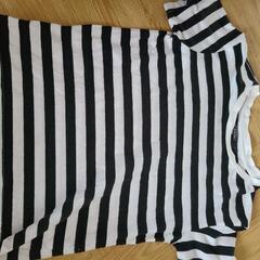 子供Tシャツの画像