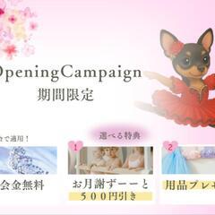 大治町子どもバレエ　ルミナスバレエスタジオの画像